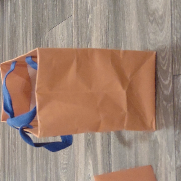 Authentic Louis Vuitton Gift Bag - Picture 3 of 9